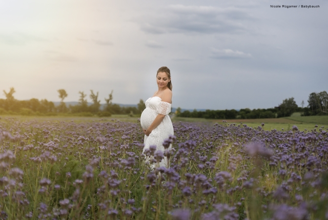 Schwangere Frau im weißen Kleid in einem Feld aus Kornblumen und Sonnenuntergang